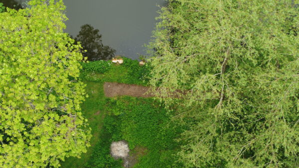 Drone imagery of castle grounds