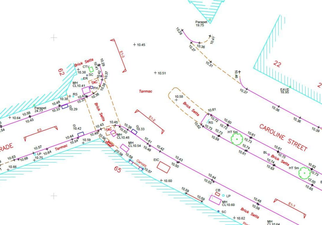 Section of topographical survey